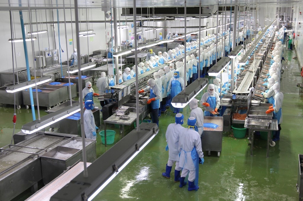 Planta de alimentos procesados con líneas de acero inoxidable y personal en PPE — higiene y escala para logística de entrega